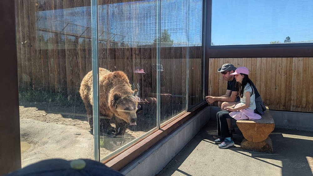 Big Bear Alpine Zoo