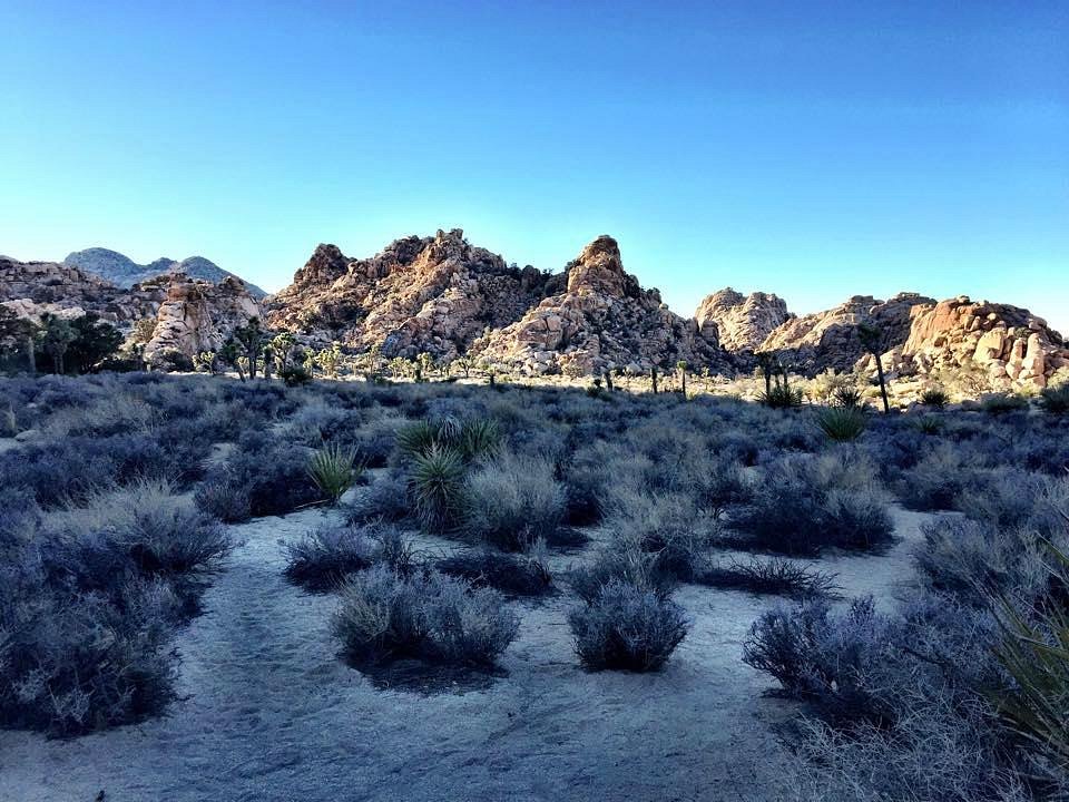 Hidden Valley Trail