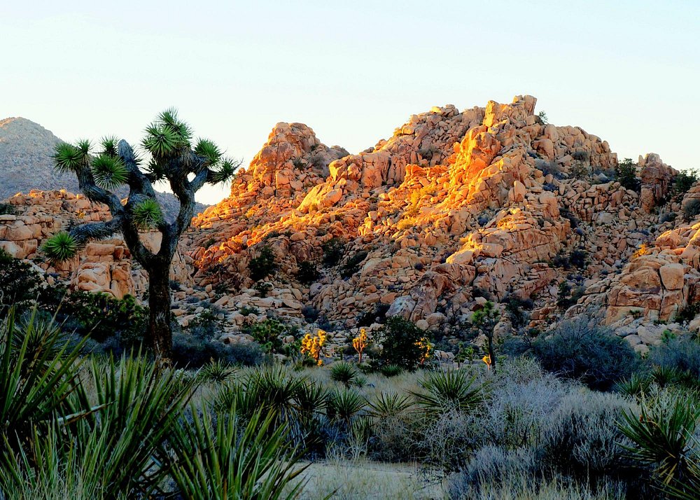 Hidden Valley Trail