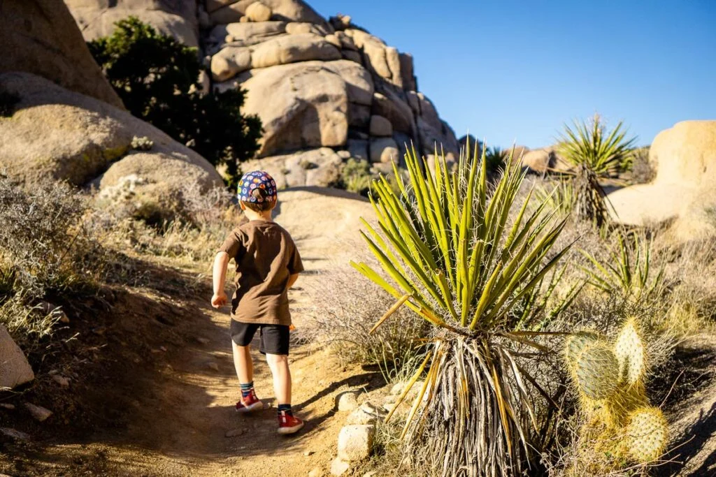 Easy hikes for kids