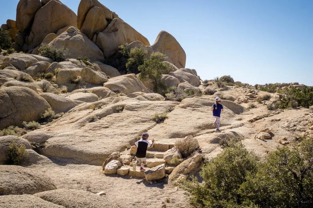 Easy hikes for kids