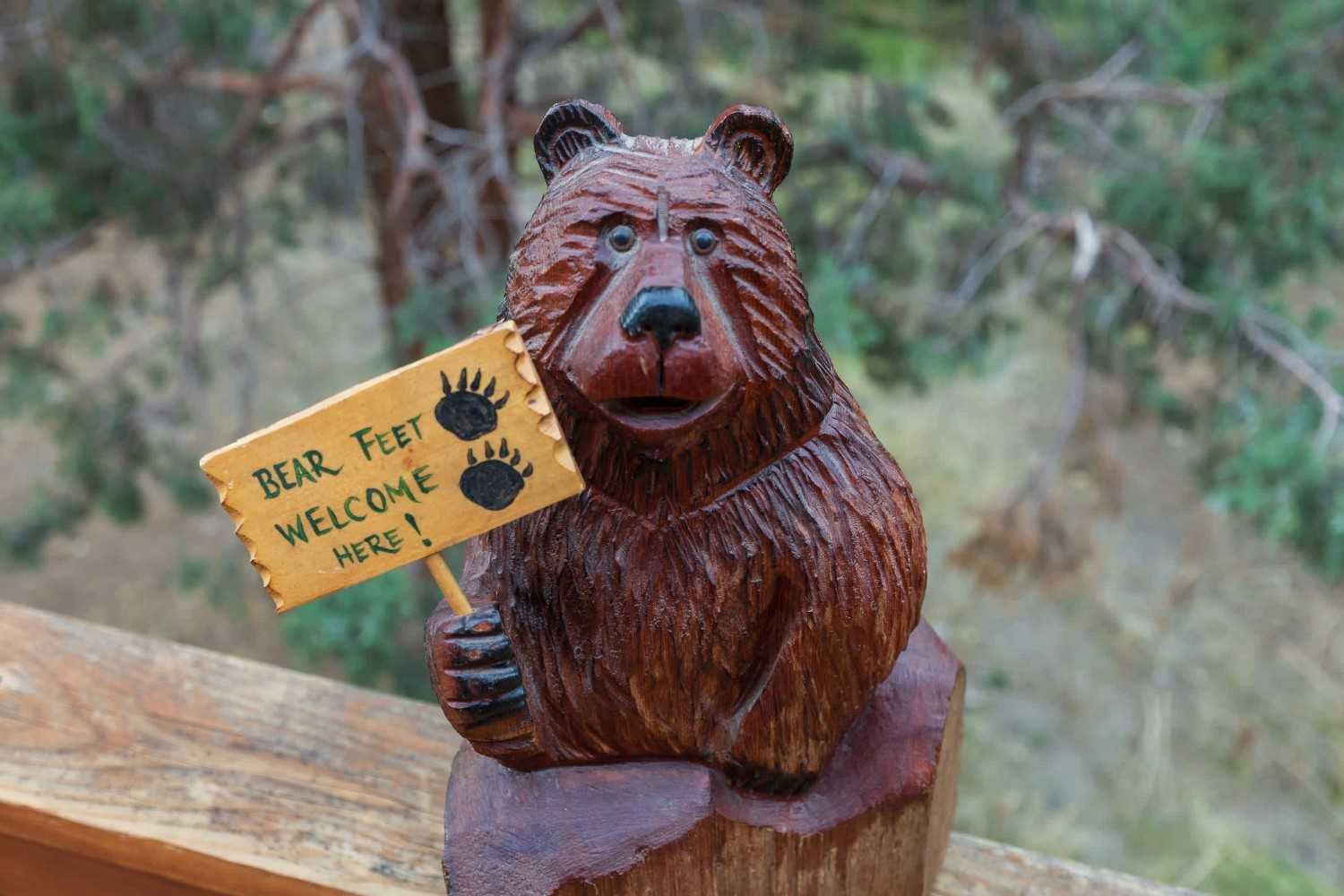 About Bear Stay